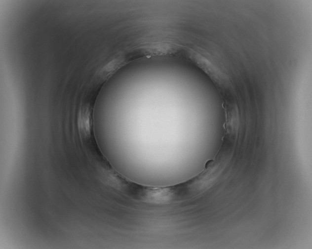 X0000113040334200909031317