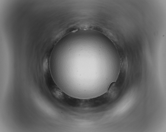 X0000113040335200909031317