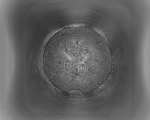 X0000113040337200909031316