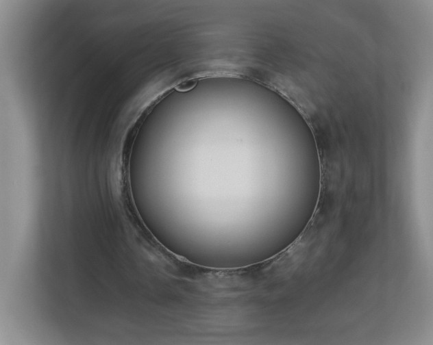 X0000113040338200909031316