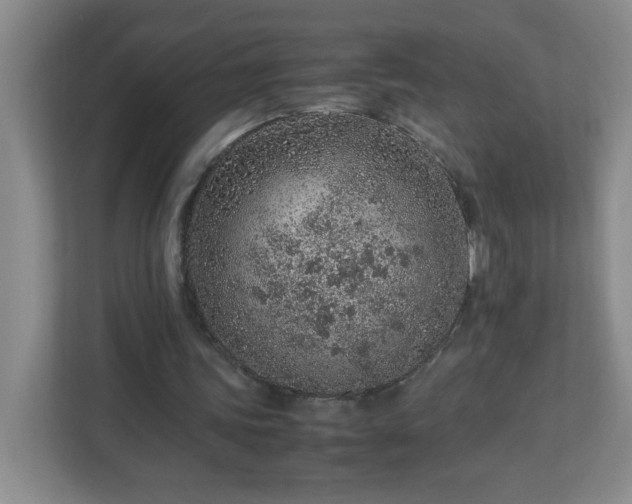 X0000113040339200909031316