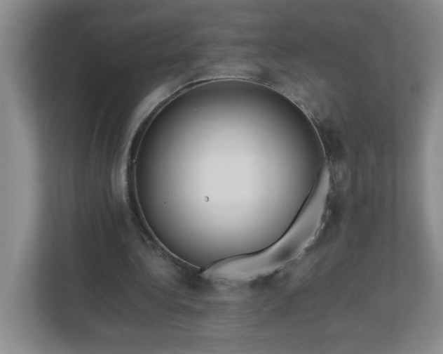 X0000113040340200909031316