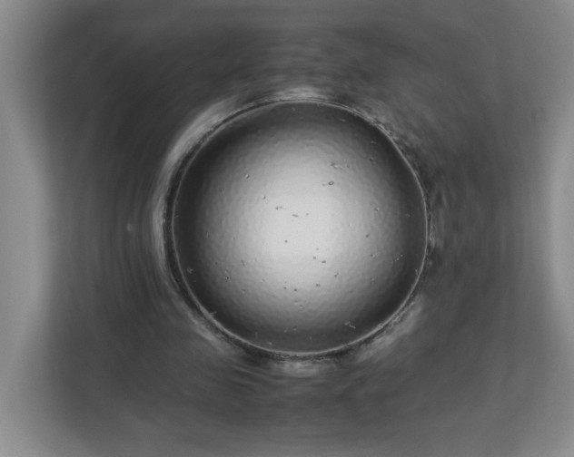 X0000113040341200909031316