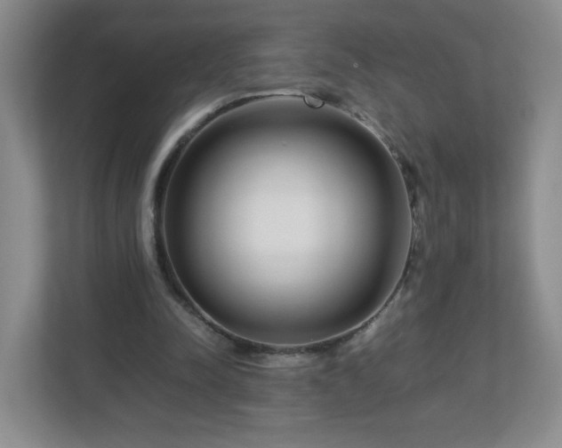 X0000113040342200909031316