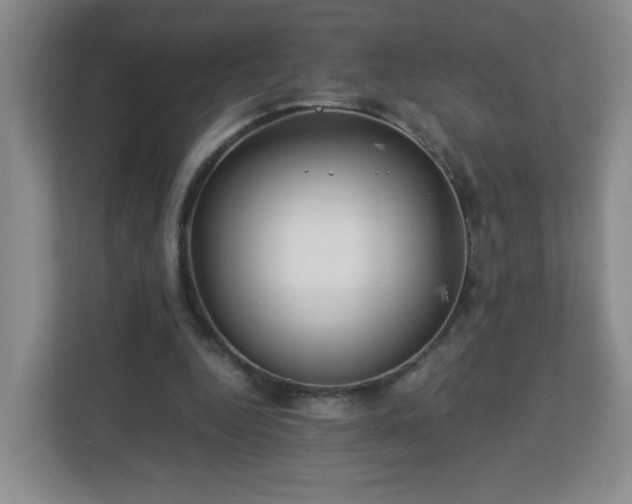 X0000113040344200909031316