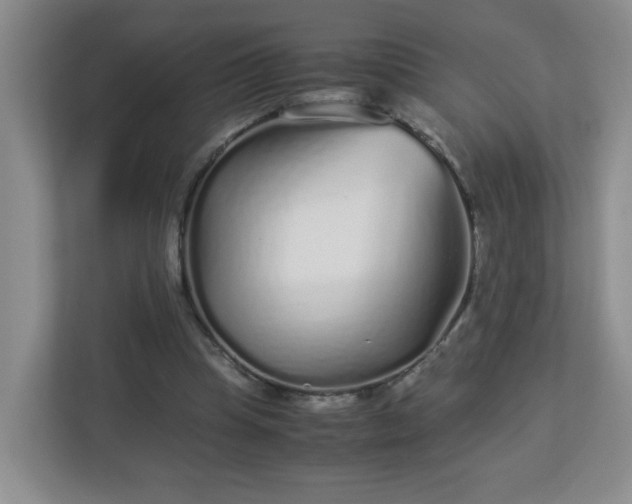 X0000113040345200909031316