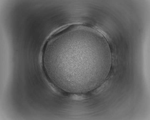 X0000113040346200909031316