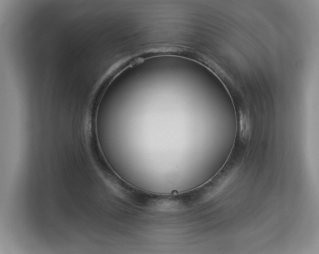 X0000113040348200909031316