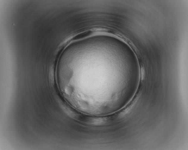 X0000113040349200909031316