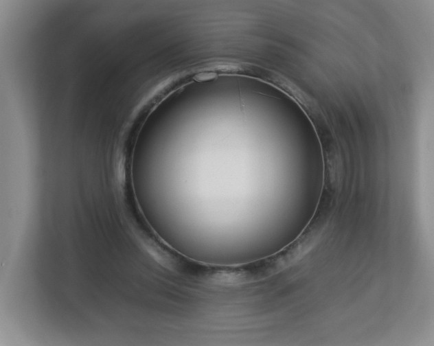 X0000113040350200909031316