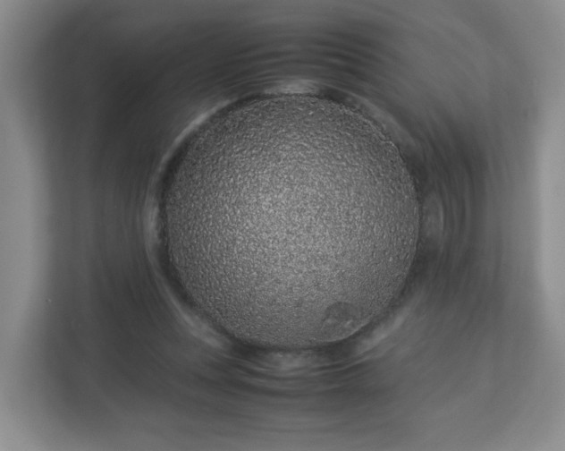 X0000113040351200909031316