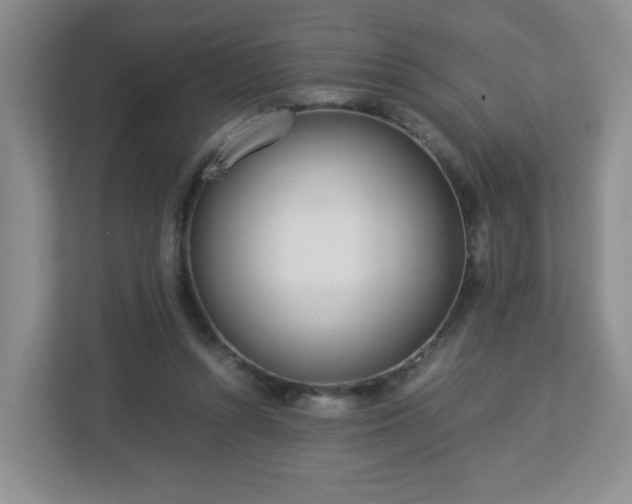 X0000113040352200909031316