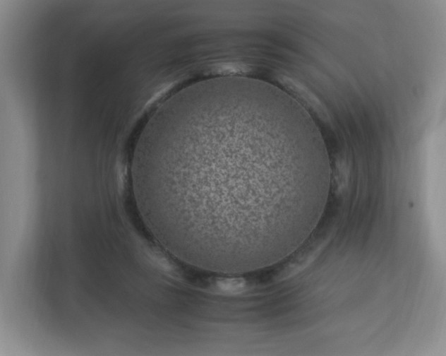 X0000113040355200909031316