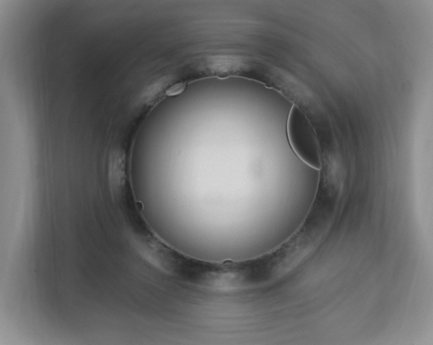 X0000113040356200909031316