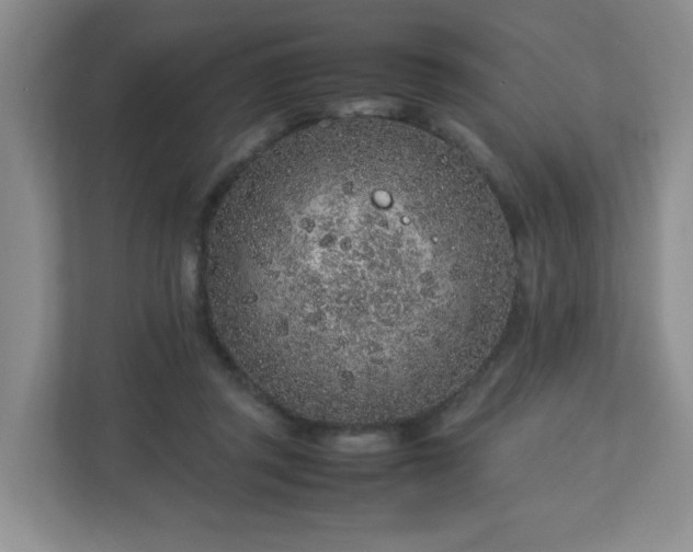 X0000113040357200909031316