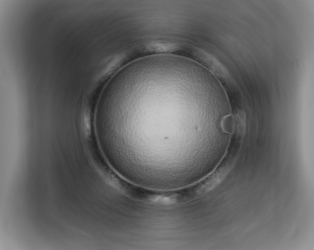 X0000113040358200909031316