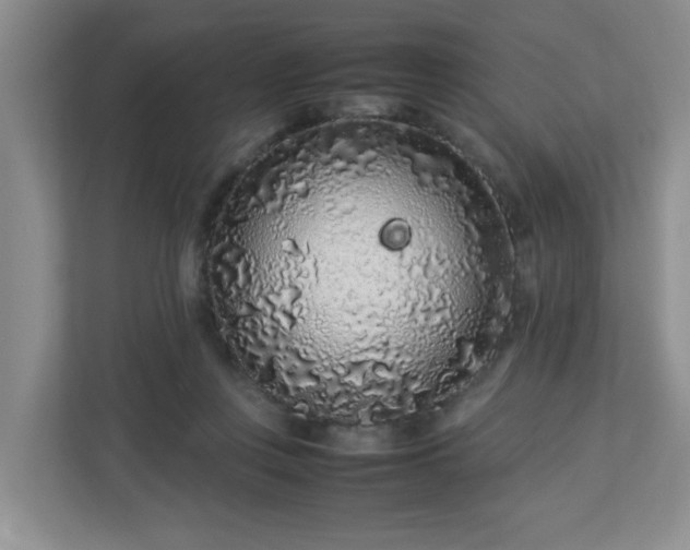 X0000113040359200909031316