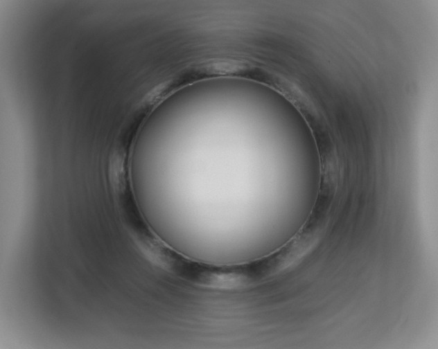 X0000113040360200909031316