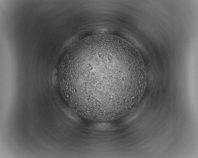 X0000113040361200909031316