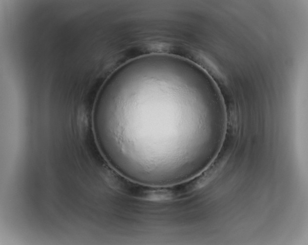 X0000113040363200909031316