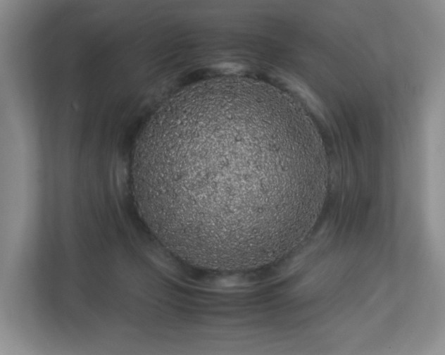 X0000113040365200909031316