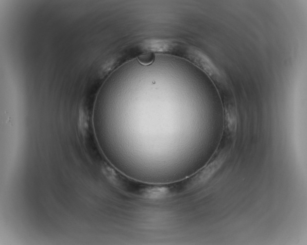 X0000113040374200909031317