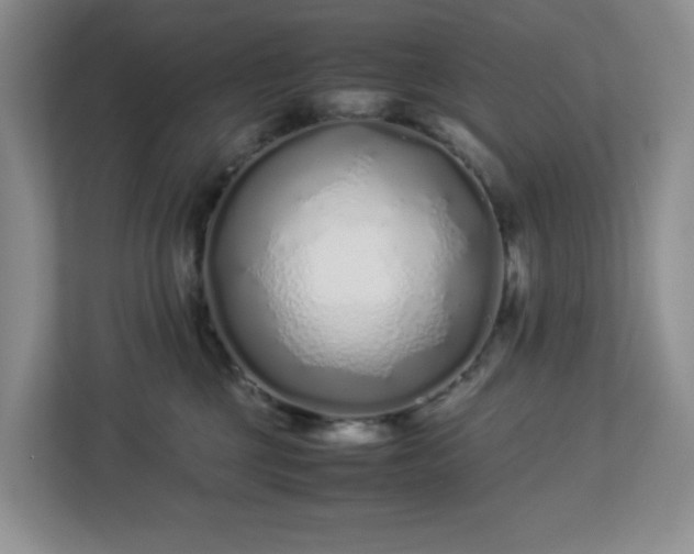 X0000113040377200909031317