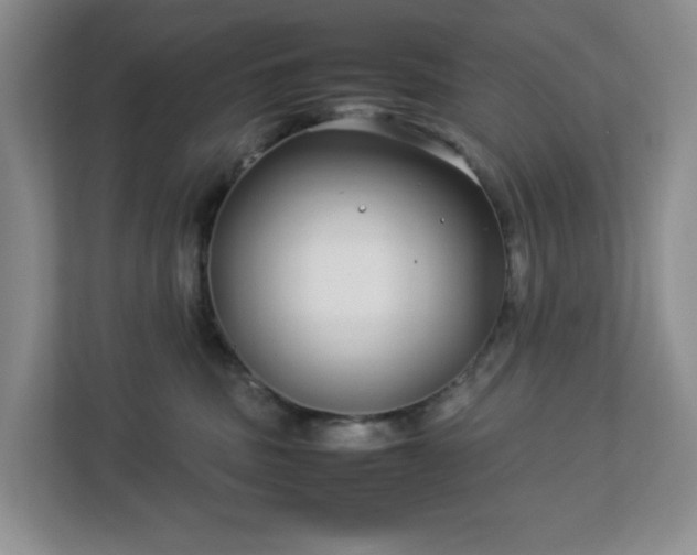 X0000113040379200909031317