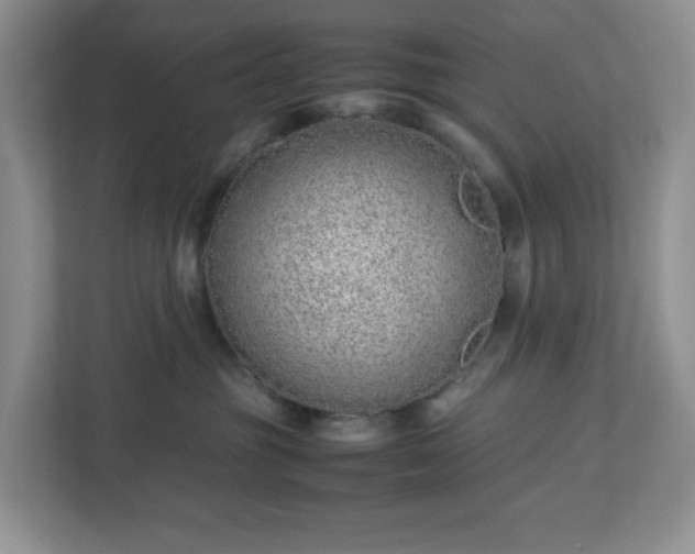 X0000113040381200909031317