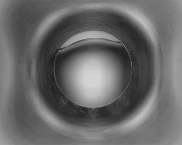 X0000113040382200909031317