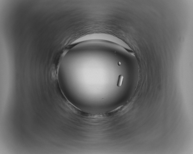 X0000113040384200909031317