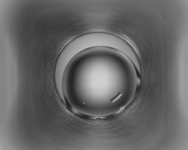 X0000113040385200909031316