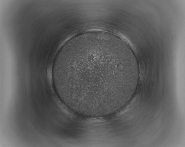 X0000113040386200909031316