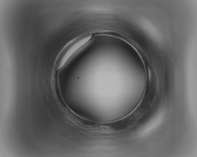 X0000113040387200909031316