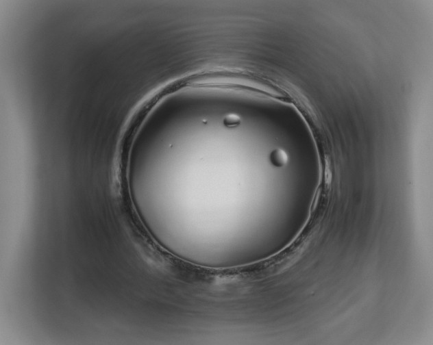 X0000113040388200909031316