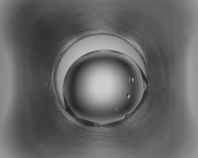 X0000113040389200909031316