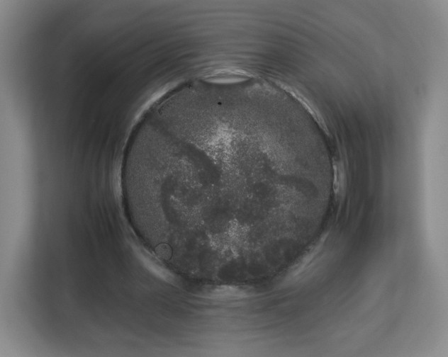 X0000113040390200909031316