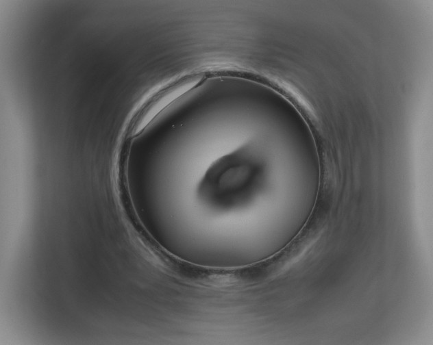 X0000113040391200909031316