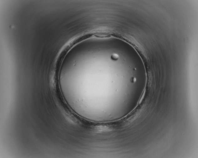 X0000113040392200909031316