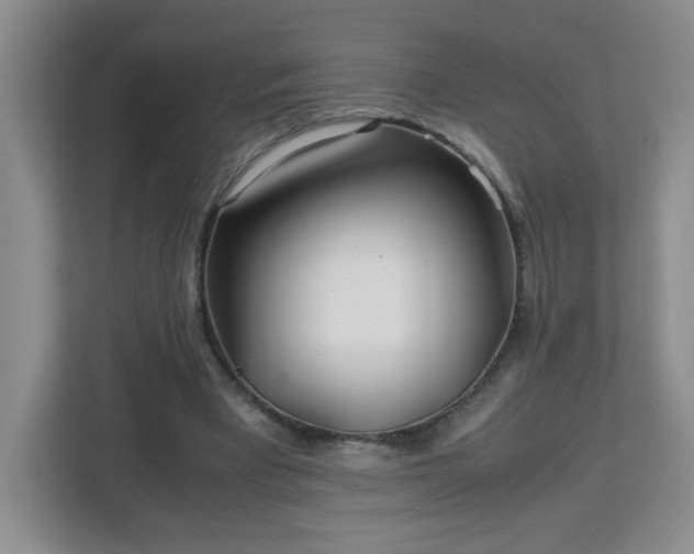 X0000113040393200909031316