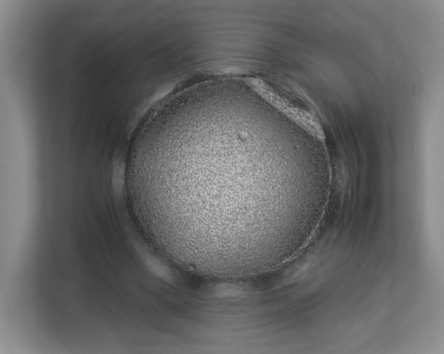 X0000113040394200909031316