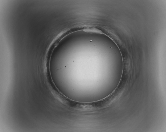 X0000113040395200909031316