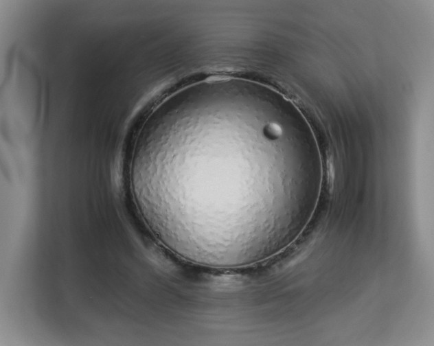 X0000113040396200909031316