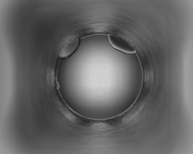 X0000113040397200909031316