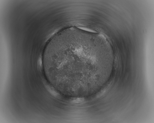 X0000113040398200909031316