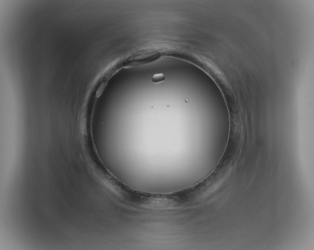 X0000113040399200909031316