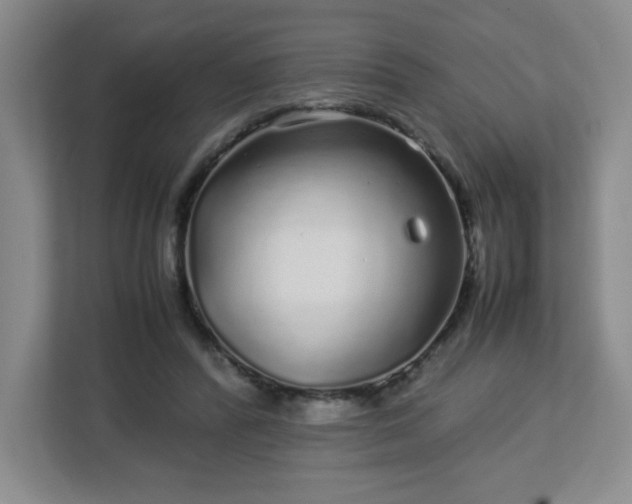 X0000113040400200909031316