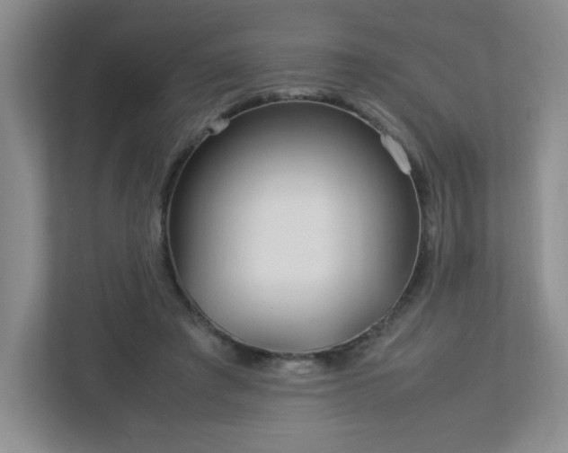 X0000113040401200909031316