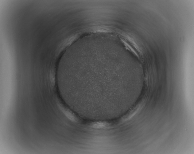 X0000113040402200909031316