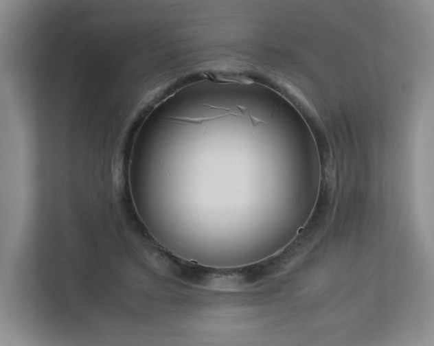 X0000113040403200909031316